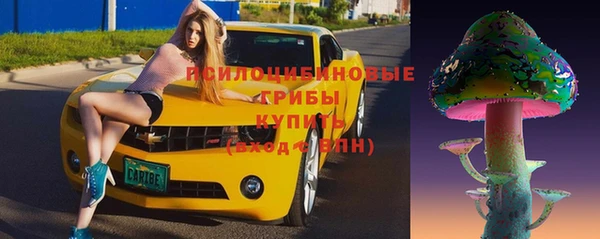 прущие крисы Тында