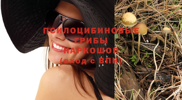 Альфа ПВП Аркадак