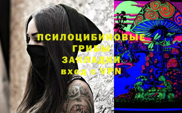 дживик Алзамай