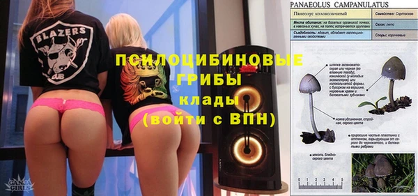 стаф Карпинск