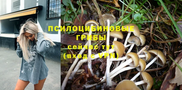 гашишное масло Туринск